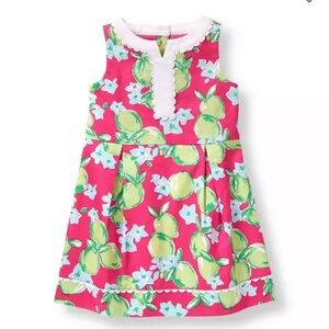 Janie and Jack Lime print Dress size 4